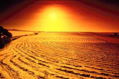 this is a sandbox